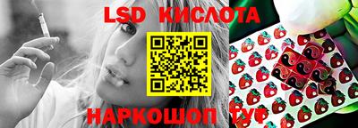 гидра Вязьма