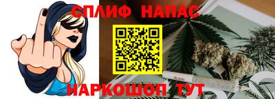 гидра Вязьма