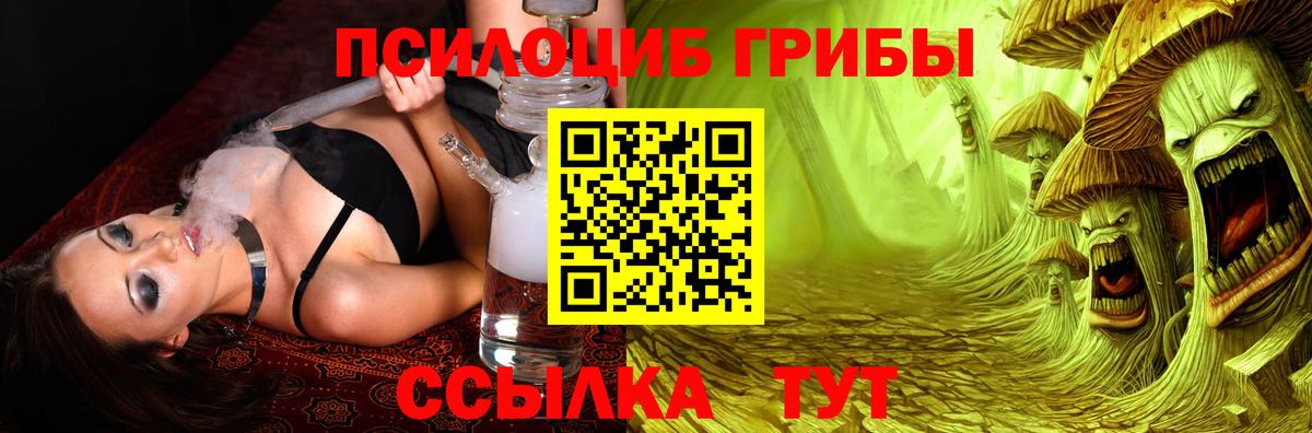Псилоцибиновые грибы MAGIC MUSHROOMS  Псилоцибиновые грибы Magic Shrooms  Мурино  Вход с VPN 
