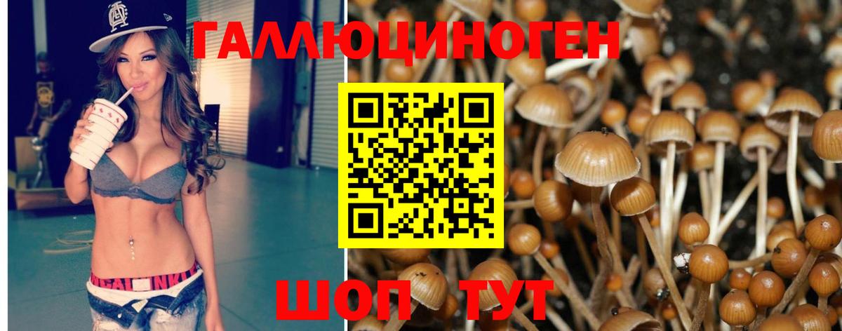 Псилоцибиновые грибы Magic Shrooms Мурино